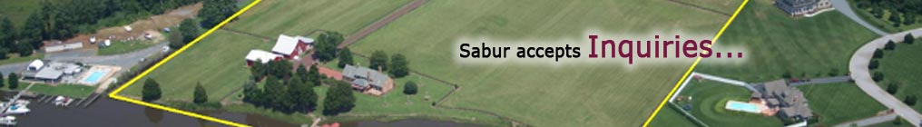 Sabur accepts Inquries
